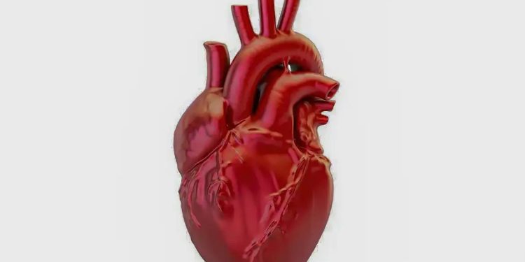 Doenças cardiovasculares causam 400 mil mortes por ano no Brasil