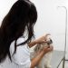Clínica Veterinária de Barra Mansa já realizou quase três mil castrações de animais em 2024
