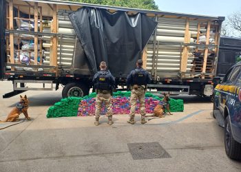 Motorista é preso transportando meia tonelada de maconha na Dutra