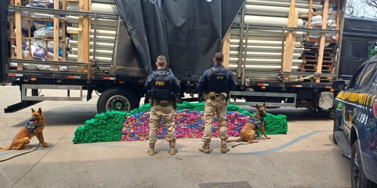 Motorista é preso transportando meia tonelada de maconha na Dutra