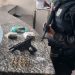 Homem é preso com arma, munição e droga em Barra Mansa
