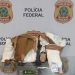 Homem é preso com cerca de 3kg de cocaína no Aeroporto do Galeão
