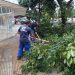 Volta Redonda realiza ação focada na limpeza das ruas após chuva e ventos fortes