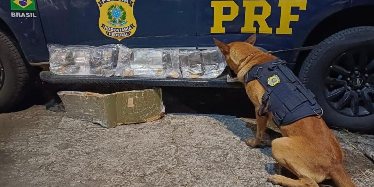 PRF apreende adolescente com 8 kg de haxixe em fiscalização na Dutra, em Piraí
