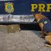 PRF apreende adolescente com 8 kg de haxixe em fiscalização na Dutra, em Piraí
