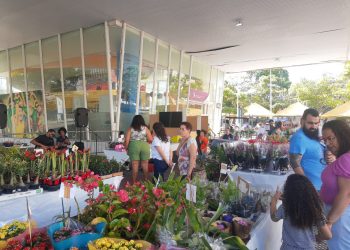 Apae Volta Redonda realiza tradicional Feira de Flores e Plantas de Holambra