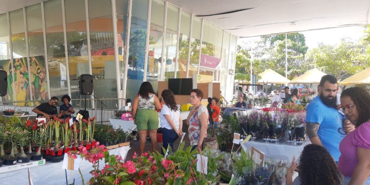 Apae Volta Redonda realiza tradicional Feira de Flores e Plantas de Holambra