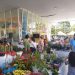 Apae Volta Redonda realiza tradicional Feira de Flores e Plantas de Holambra