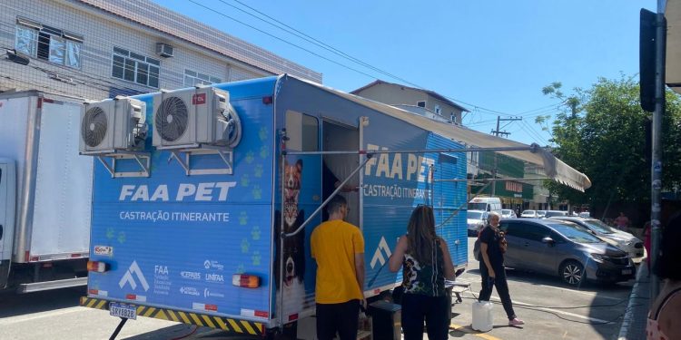 Prefeitura de Volta Redonda e Fundação Educacional Dom André Arcoverde realizam castração em mais de 500 animais
