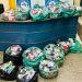 Operação apreende meia tonelada de roupas íntimas e kits eróticos falsificados na Dutra