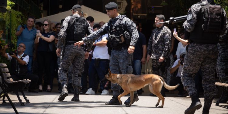 Volta Redonda terá unidade do Batalhão de Ações com Cães da Polícia Militar