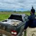 PRF apreende 650 kg de maconha após perseguição e tiros na Dutra, em Seropédica