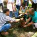 Volta Redonda sobe 14 posições no ranking do ICMS Ecológico Estadual
