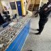 Polícia apreende grande quantidade de drogas em Mangaratiba