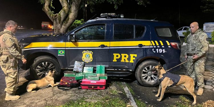 PRF apreende 37 tabletes de maconha e porções de cocaína em fiscalização na Dutra, em Piraí