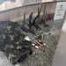 Polícia Militar apreende trabucos, munições e fardas camufladas em Angra dos Reis