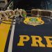 PRF apreende aves silvestres transportadas ilegalmente na Dutra