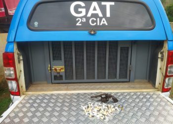 Menor é apreendido por tráfico de drogas e posse ilegal de arma em Paty do Alferes