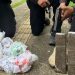 Polícia apreende mais de mil pinos de cocaína em imóvel abandonado em Barra do Piraí