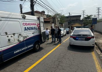 Volta Redonda realizou uma fiscalização por dia contra maus-tratos a animais em 2024
