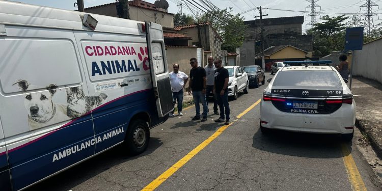 Volta Redonda realizou uma fiscalização por dia contra maus-tratos a animais em 2024