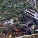 Caminhão com carga tóxica tomba e atinge área de parque nacional no Rio de Janeiro