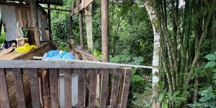 Polícia Ambiental flagra construção irregular em Paraty