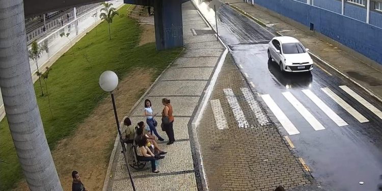 Câmera de monitoramento flagra maus-tratos a cachorro no Centro de Barra Mansa