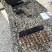 Homem apontado como gerente do tráfico é preso com pistola e munições em Paraty