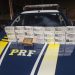 PRF apreende mais de mil munições de fuzil na BR-040