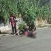 Tiroteio durante Folia de Reis deixa dois mortos em Barra Mansa