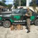 Polícia apreende pássaros mantidos em cativeiro em Barra do Pirai
