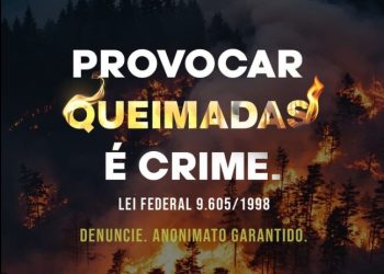 Linha Verde registra aumento de mais de 200% nas denúncias de queimadas em relação ao ano passado