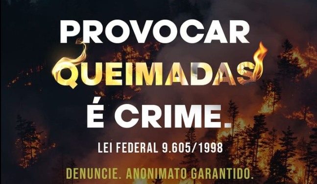 Linha Verde registra aumento de mais de 200% nas denúncias de queimadas em relação ao ano passado
