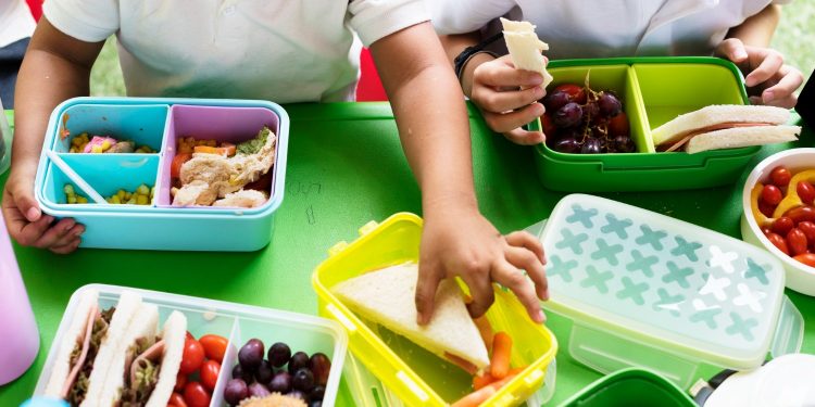 Volta às aulas: Nutricionista dá dicas de lanches saudáveis com equilíbrio entre alimentos