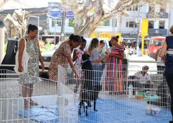 Barra do Piraí realiza primeira edição da Campanha de adoção “Me Leva para Casa”