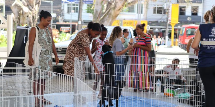 Barra do Piraí realiza primeira edição da Campanha de adoção “Me Leva para Casa”