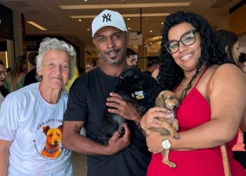 Cães e gatos ganham novos lares no espaço de adoção ‘Família Animal’ da Prefeitura de Volta Redonda