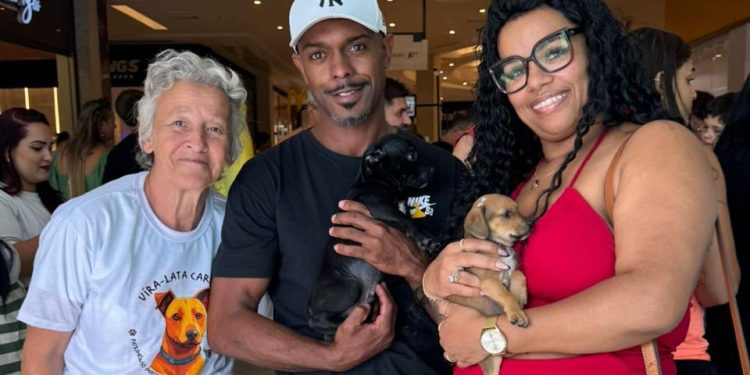 Cães e gatos ganham novos lares no espaço de adoção ‘Família Animal’ da Prefeitura de Volta Redonda