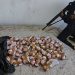 Polícia apreende quase 10 kg de cocaína em operação em Paraty, RJ