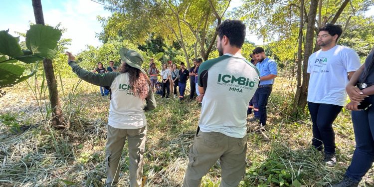 CSN avança no reflorestamento da Floresta da Cicuta e ultrapassa 80% da meta de recuperação ambiental