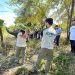 CSN avança no reflorestamento da Floresta da Cicuta e ultrapassa 80% da meta de recuperação ambiental