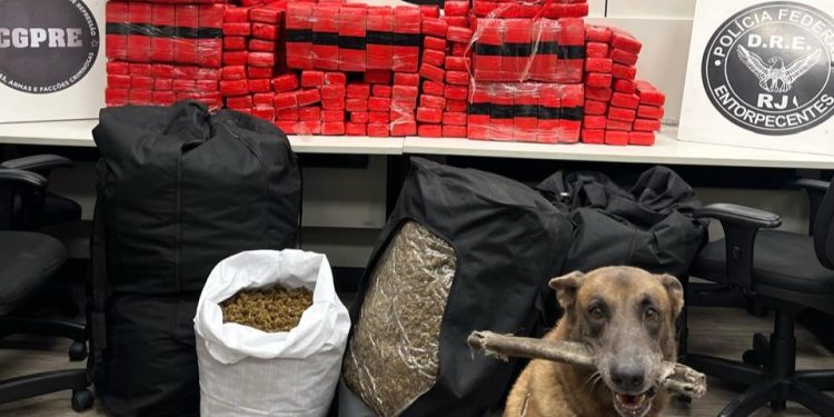 Caminhoneiro é preso com 300kg de skunk escondidos em carga de arroz
