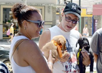 Barra Mansa e Grupo CãoNina promovem feira de adoção de animais vítimas de maus-tratos e abandono