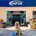 Terapia com animais melhora bem-estar de pacientes