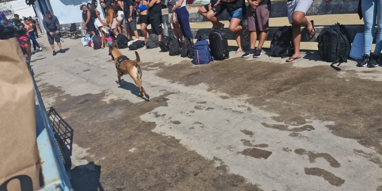 Polícia prende foragido por tráfico de drogas durante operação na Ilha Grande, em Angra dos Reis