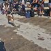 Polícia prende foragido por tráfico de drogas durante operação na Ilha Grande, em Angra dos Reis