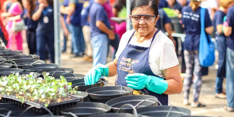 Fundação CSN inaugura em Volta Redonda estufa do projeto Resgatando Saberes