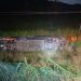 Dutra: Ônibus cai em ribanceira e deixa 26 feridos e um morto em São Paulo