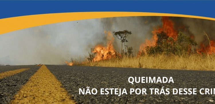 K-Infra alerta e reforça ações de conscientização sobre os perigos das queimadas nas rodovias